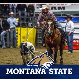 Meet your Posher, Ben